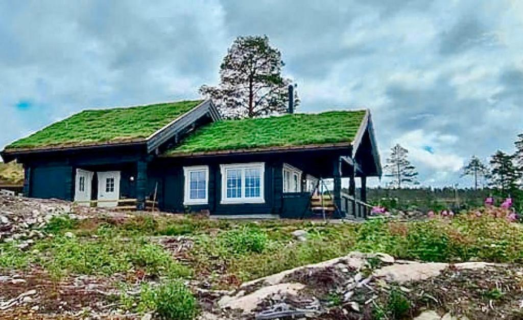 New lovely cabin at Lygna with 2 bathrooms and office space photo 2