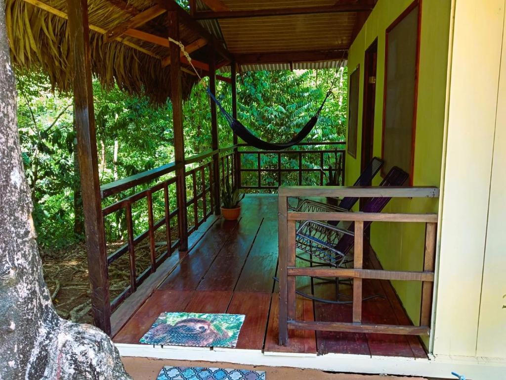 Corcovado Green Paradise photo 3