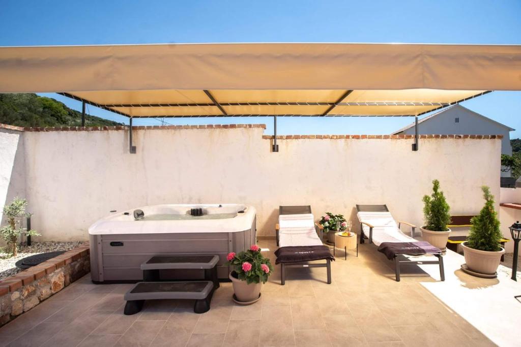 House Olive tree