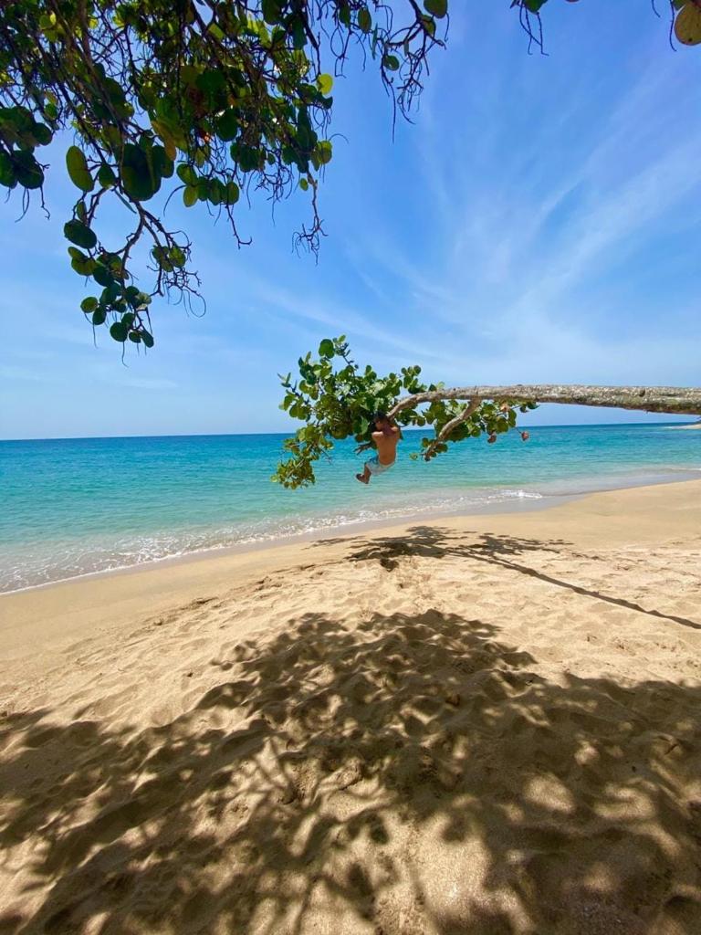 Cahuita Club photo 3
