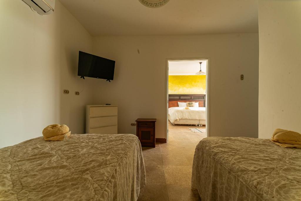 Hotel Boutique Noelani photo 3