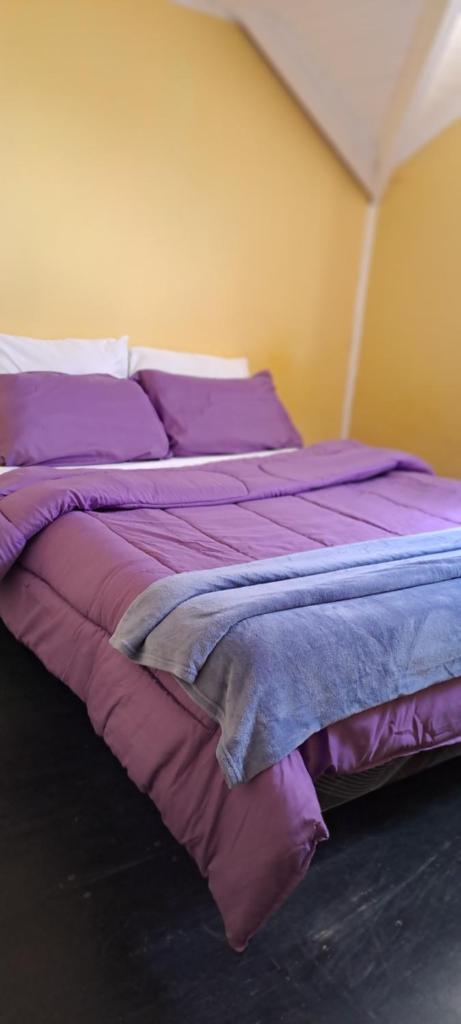 Hostel Wenuy- photo 4