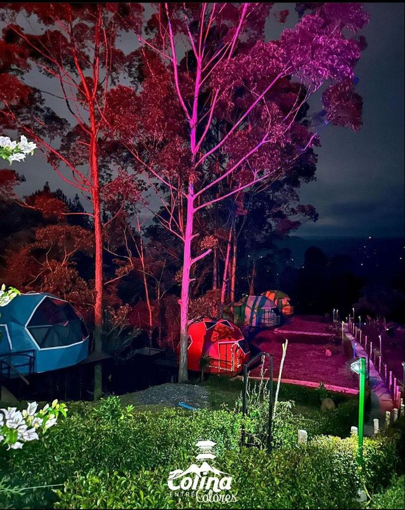 COLINA ENTRE COLORES photo 1