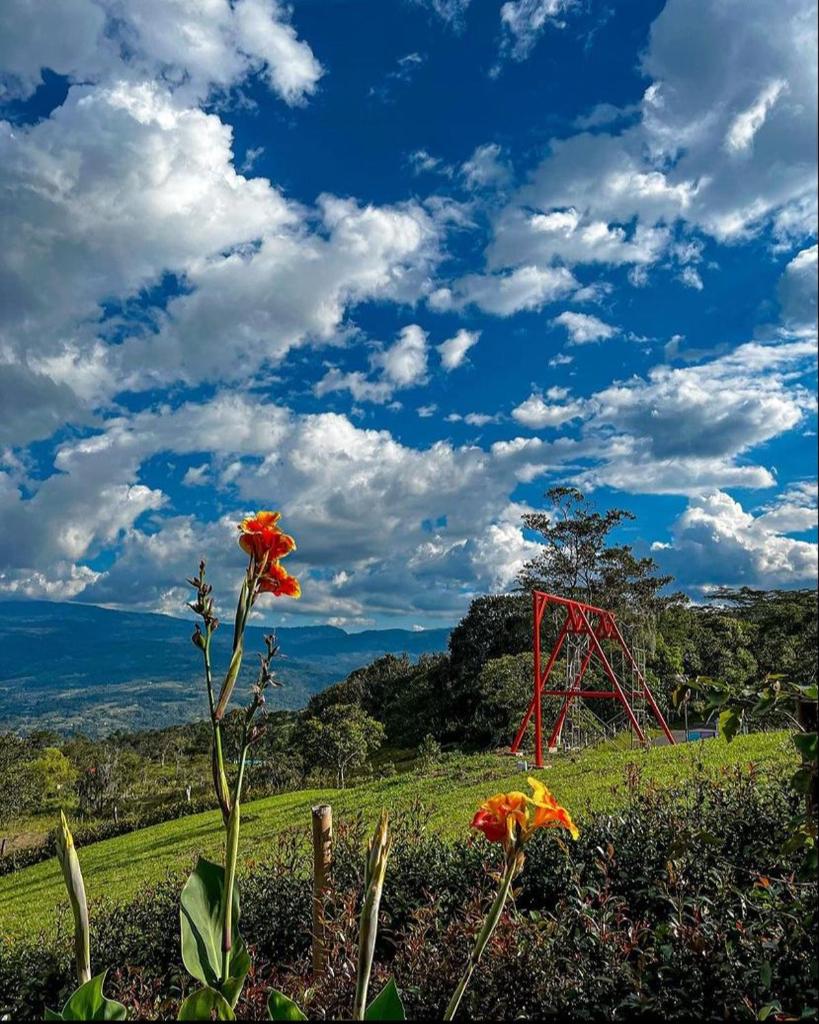 COLINA ENTRE COLORES photo 2