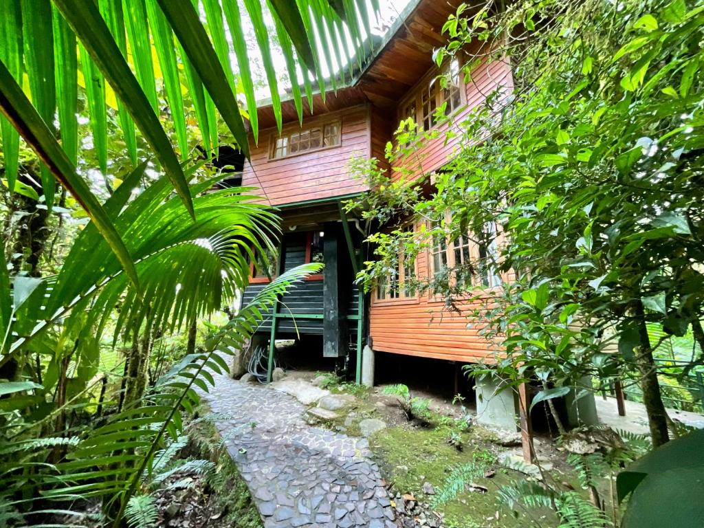 Los Quetzales Ecolodge & Spa photo 1