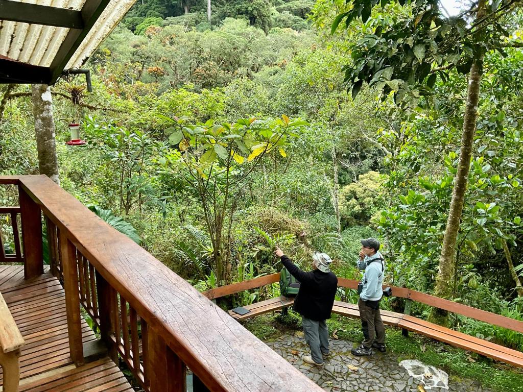 Los Quetzales Ecolodge & Spa photo 4