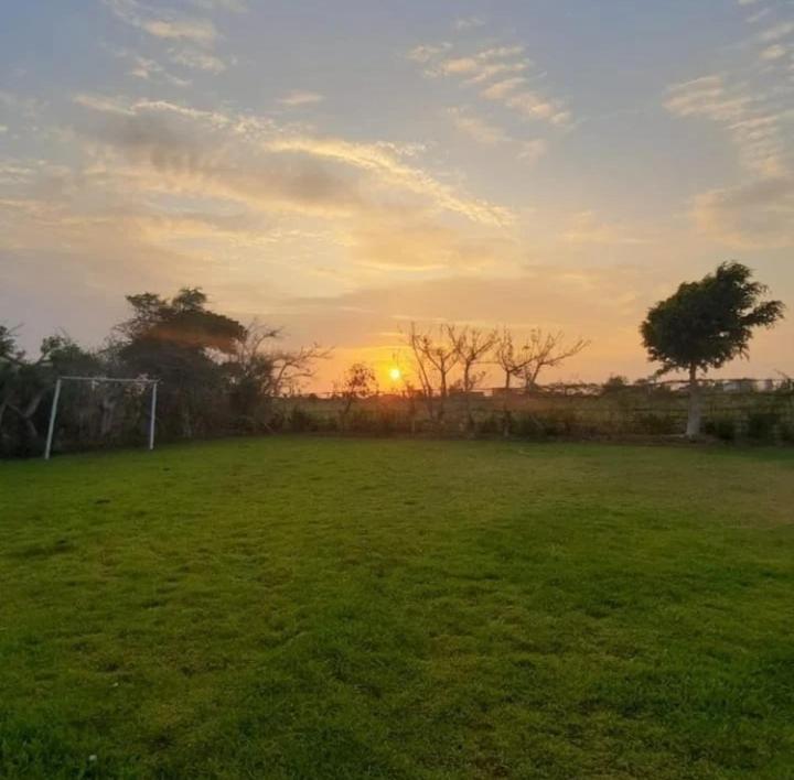 FINCA JAZMIN photo 3