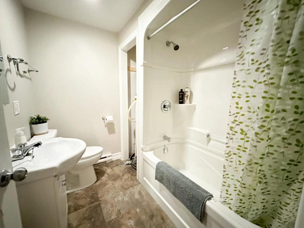 Gorgeous Condo in SJ w Coffee Wi-FI photo 4