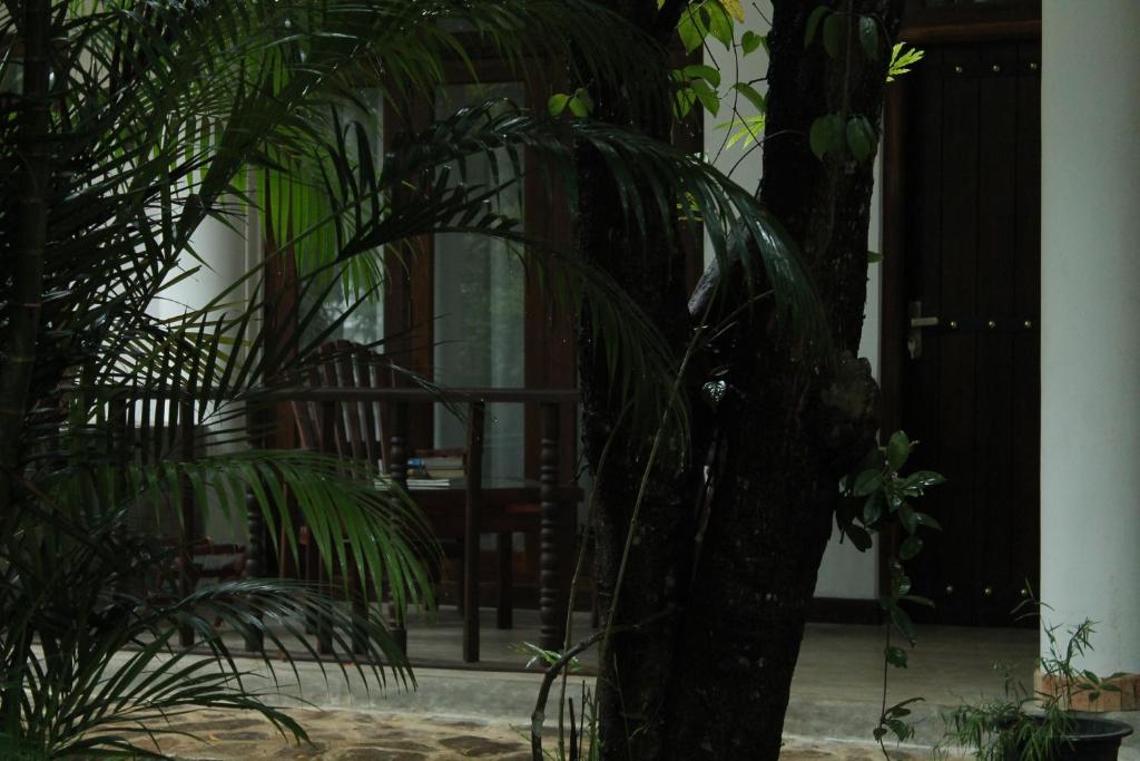 Двухместный (Luxury Double Room with Free Pick up From Kandy railway), Heavens Holiday Resort