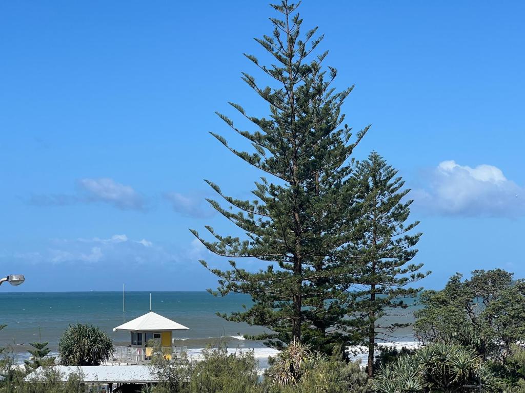 Ocean View - Alexandra Headlands Beachfront Unit photo 3
