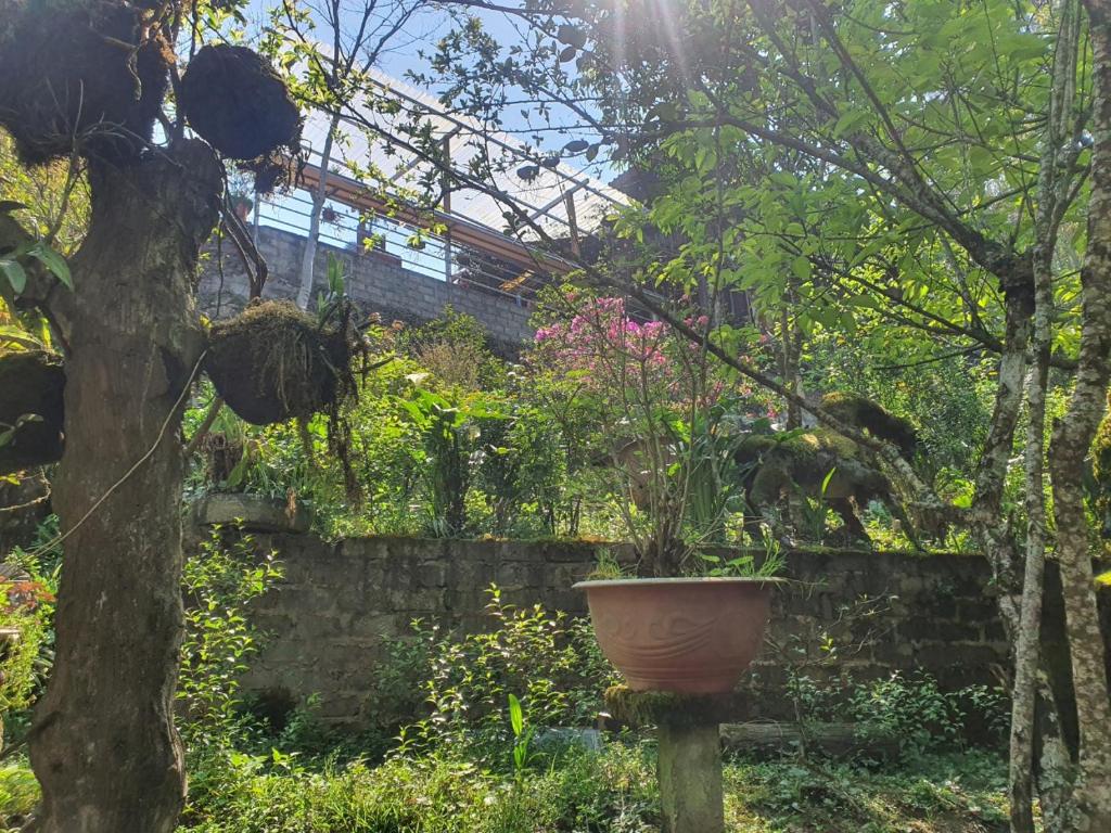 Sapa Garden Bungalow