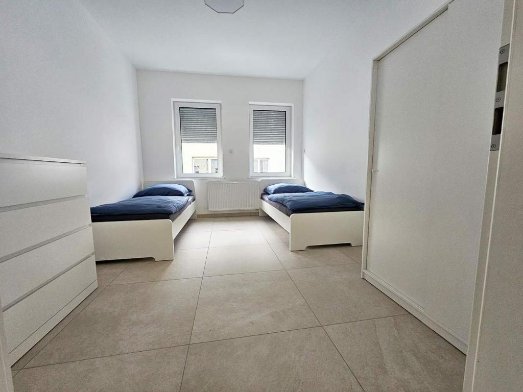 Work & Stay in Troisdorf photo 2