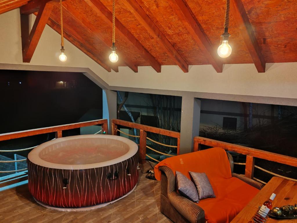 Vila Dimitrijevic Lisine photo 1