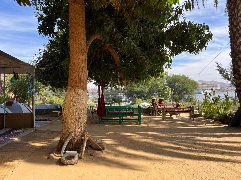 Salatoos Mango Camp photo 1