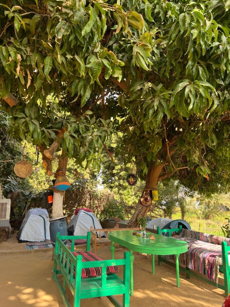 Salatoos Mango Camp photo 2