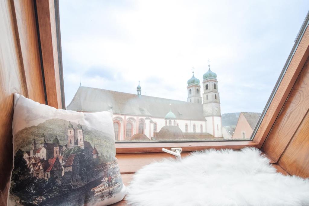 NEU Deluxe Suite Münsterblick