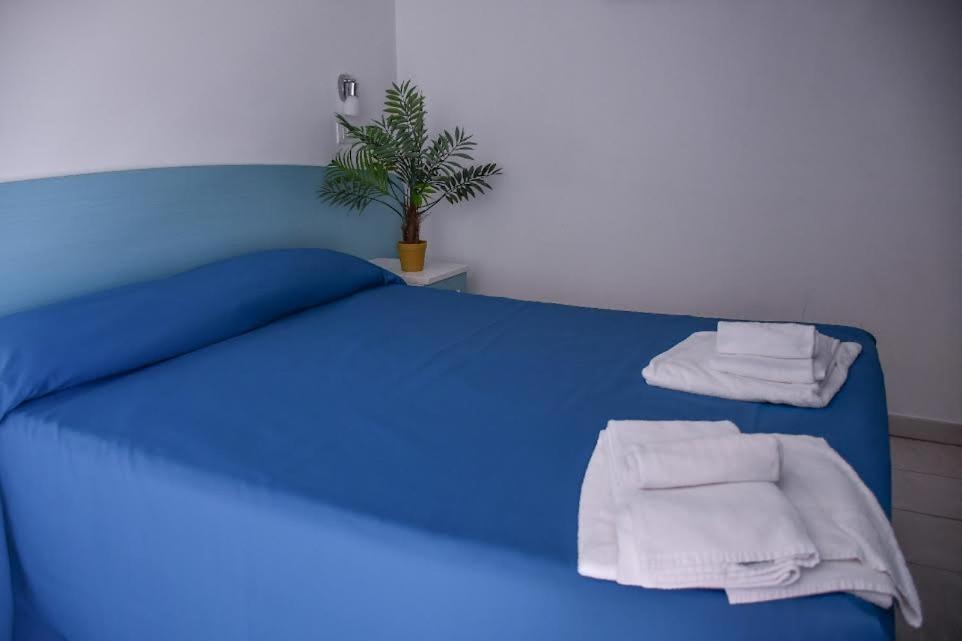 Vela Club Hotel & Appartamenti photo 2