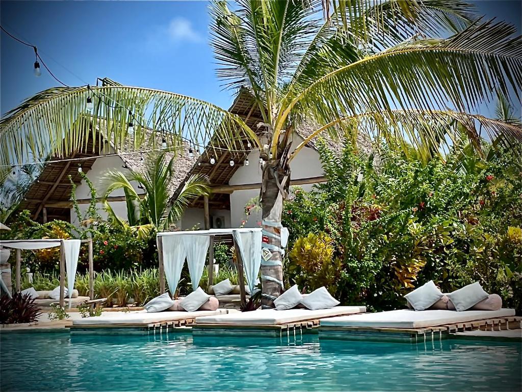 Zen Boutique Resort photo 1