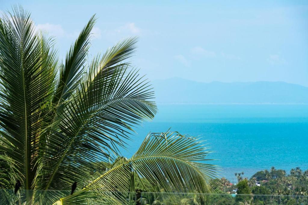 Villa Murano Samui photo 3