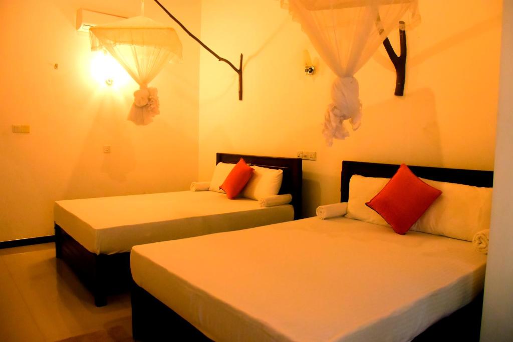 Wild Elephants Safari Resort photo 1