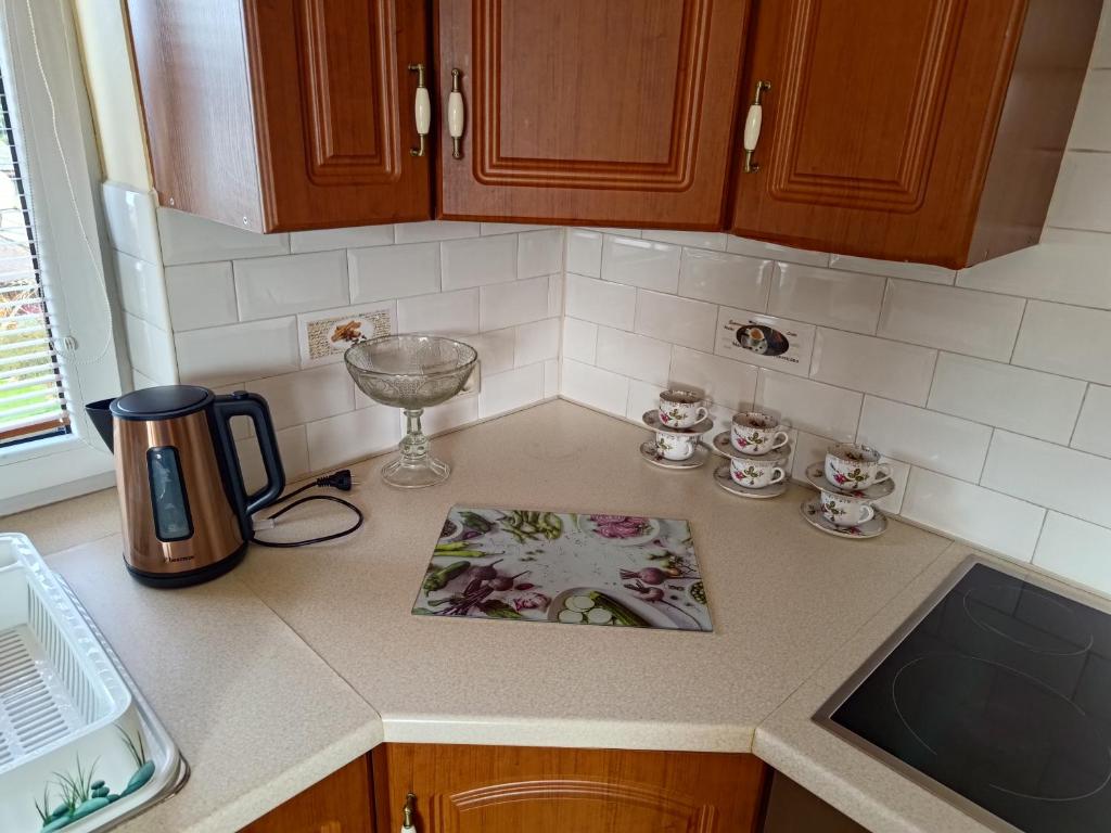 Apartament Tujka Żywiec photo 1