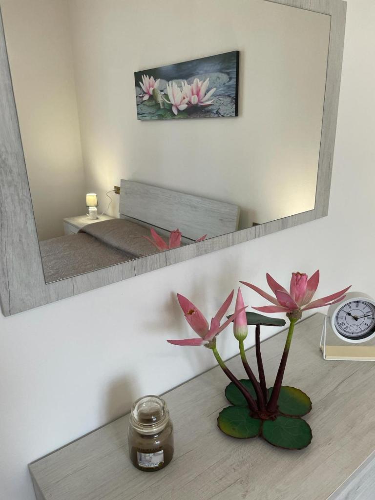 Water Lily Apartment