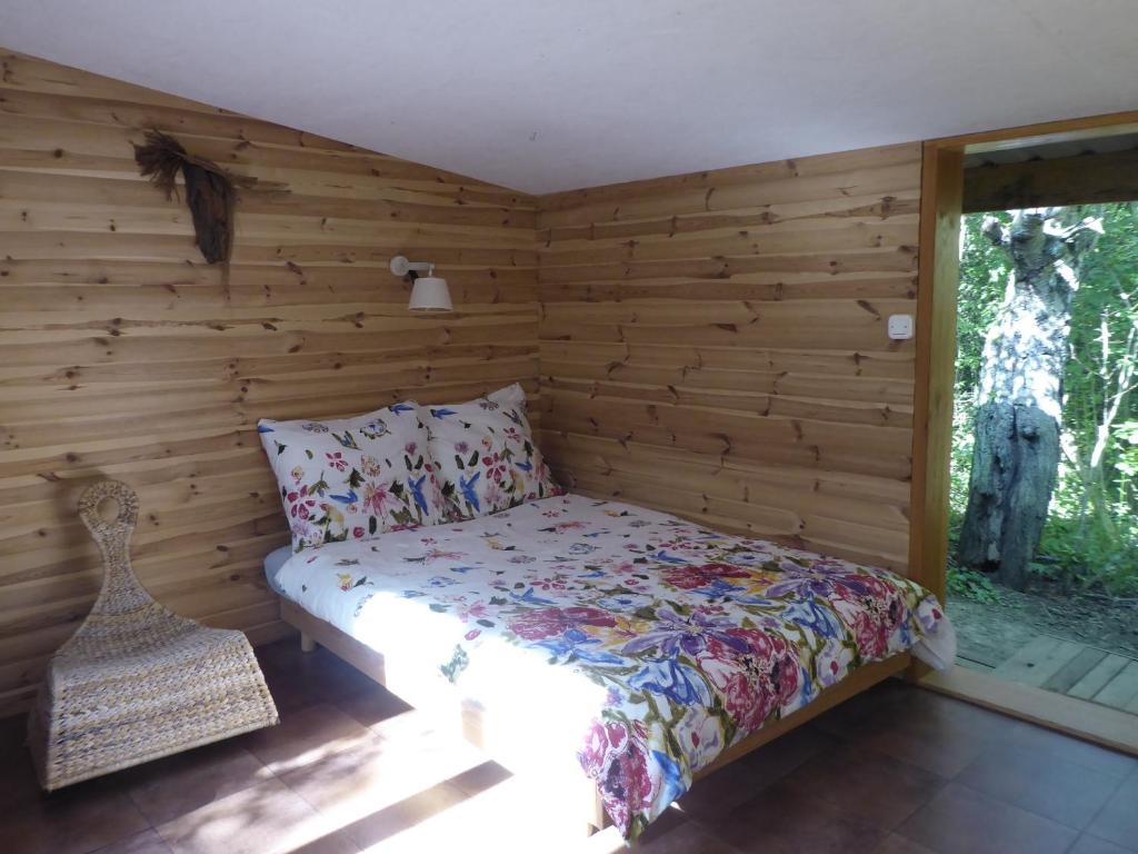 DOLINA photo 4
