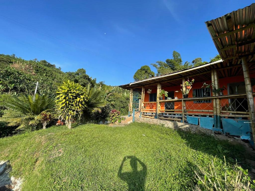 Vista hermosa photo 2