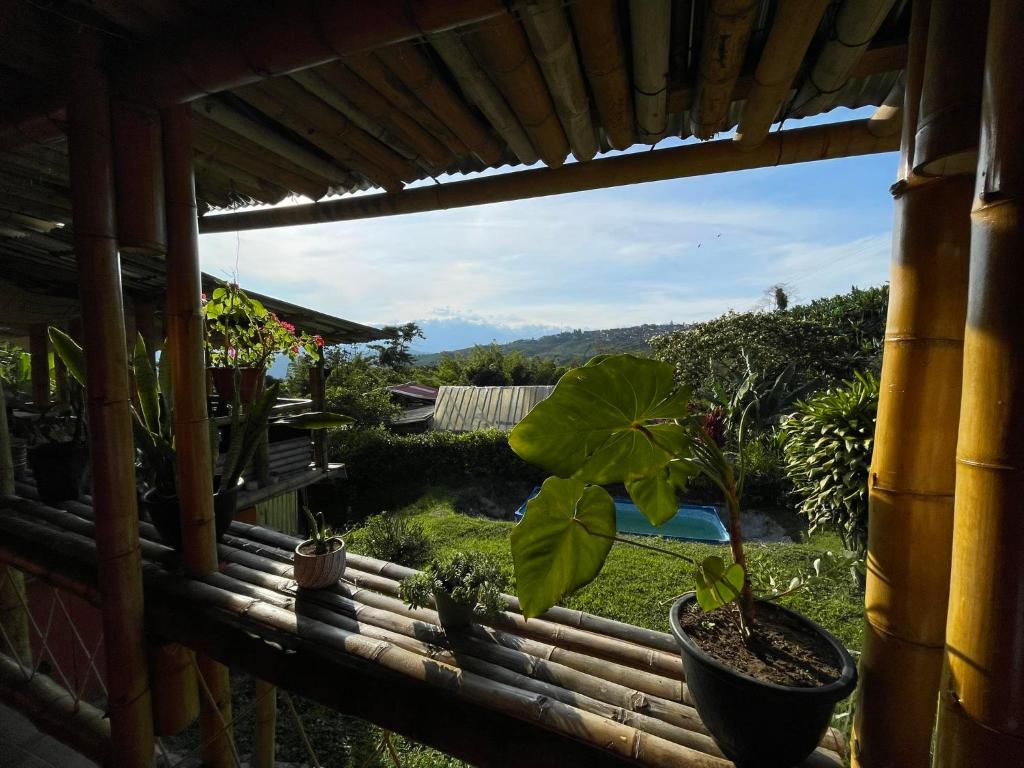 Vista hermosa photo 4