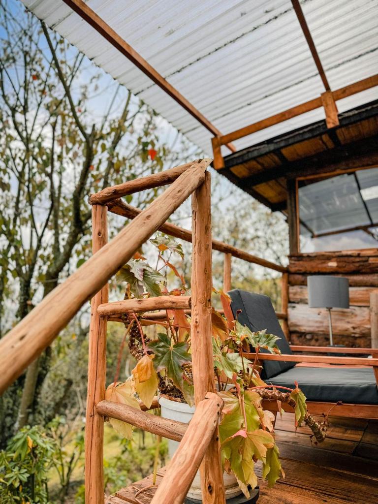 Laguancha photo 2