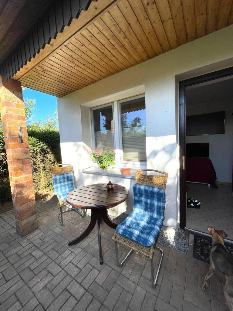 Hundeurlaub im Tiny House im Wald photo 2