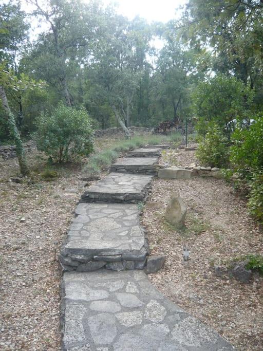 Maison dans les bois photo 4