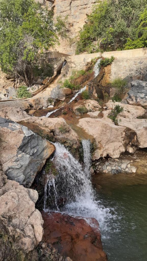 إستراحة المروج بالجبل الأخضر photo 2