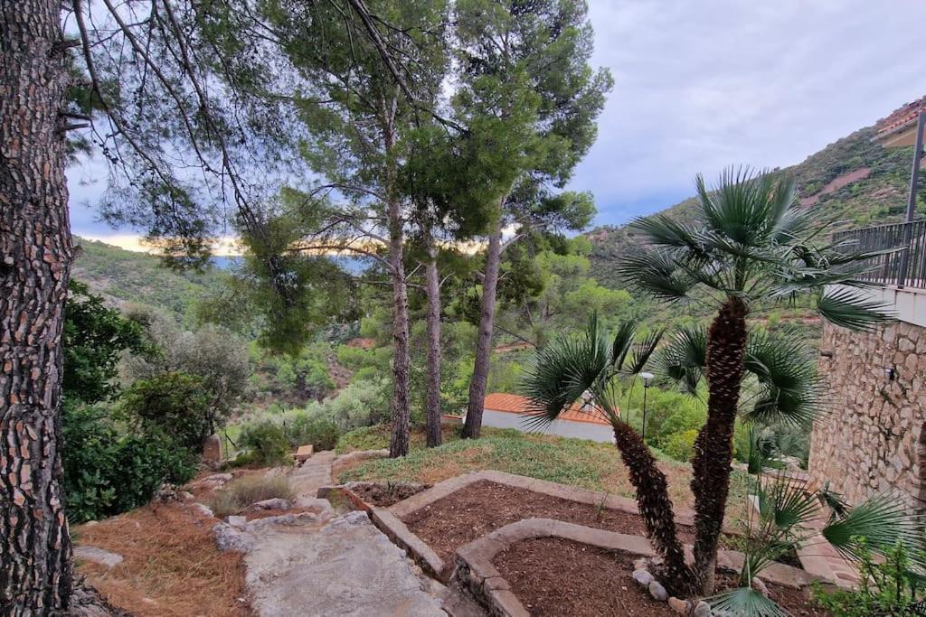 casa en un parque natural photo 2
