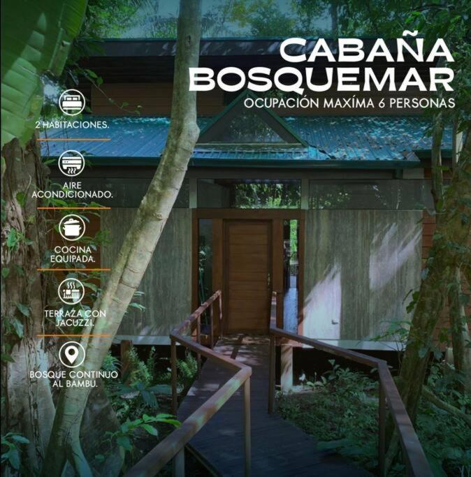 Cabaña Bosquemar 1