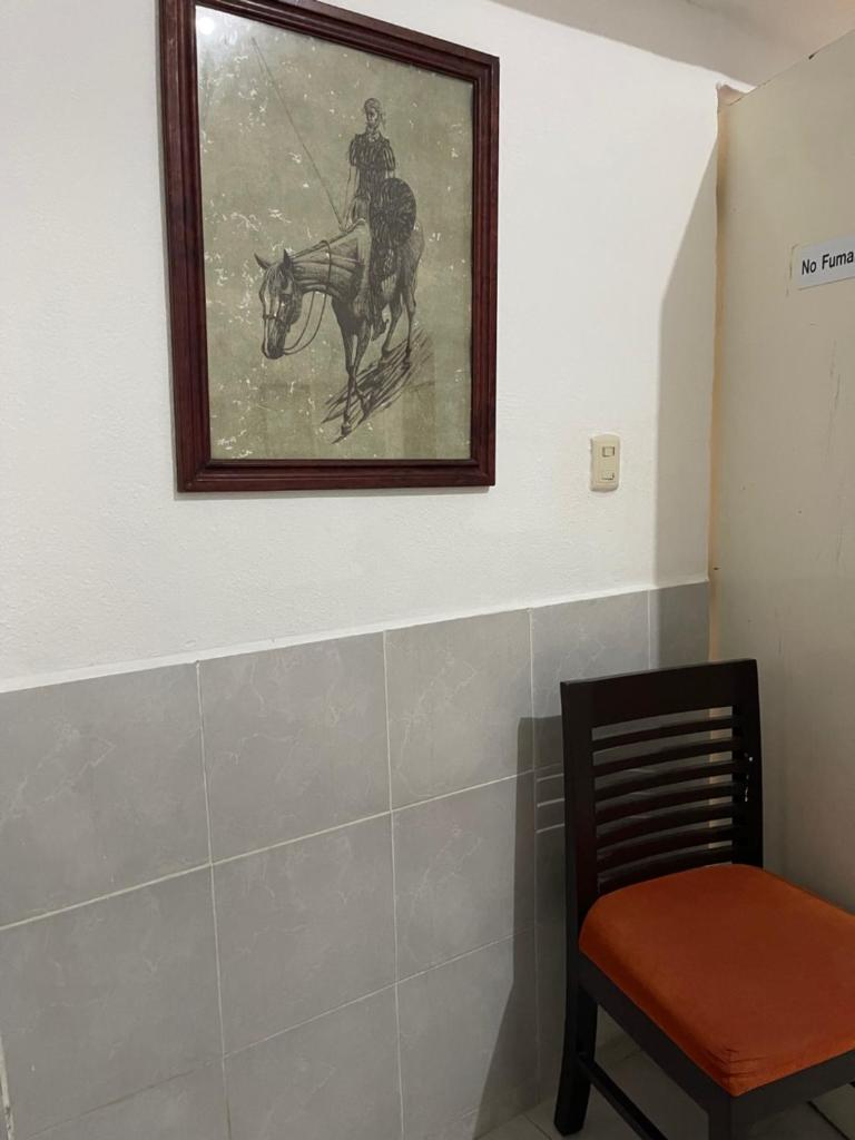 Hotel Cupules Room Type - Superior Double or Twin Room