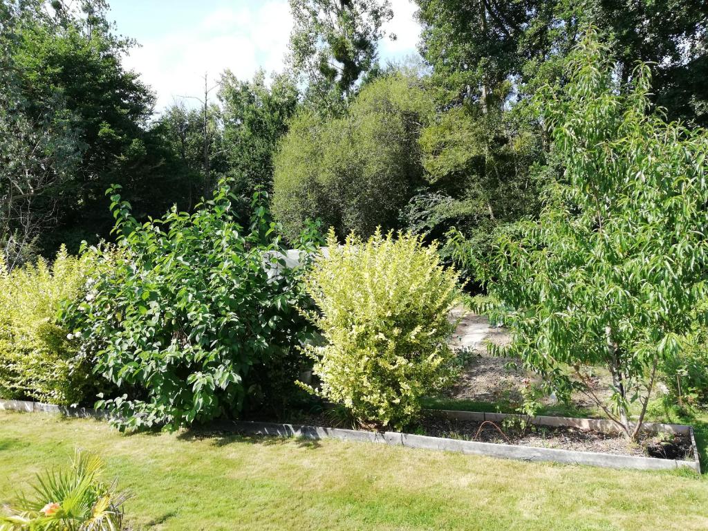 Au cœur du jardin photo 1