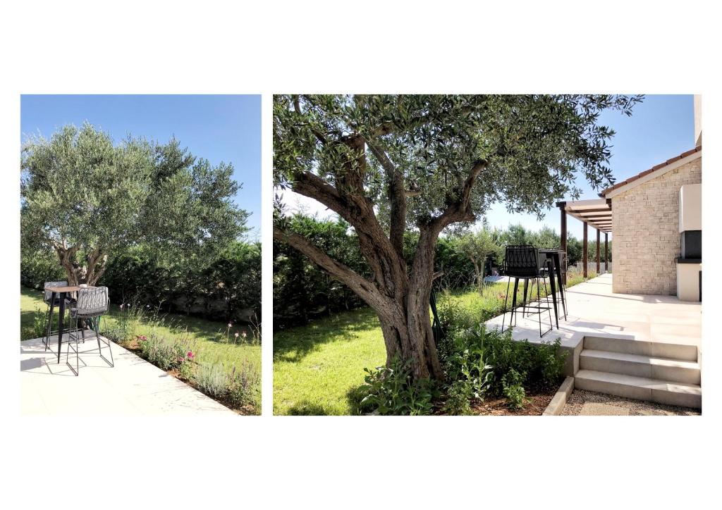 Villa Zann photo 3