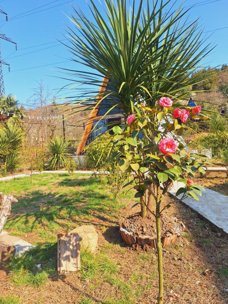 Paradise cottage photo 2