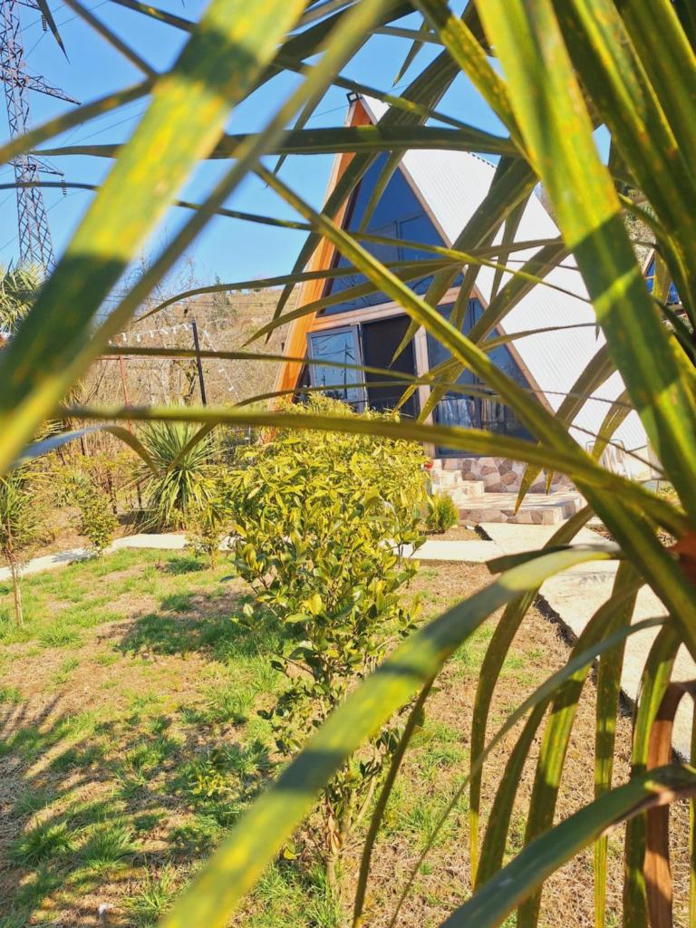 Paradise cottage photo 1