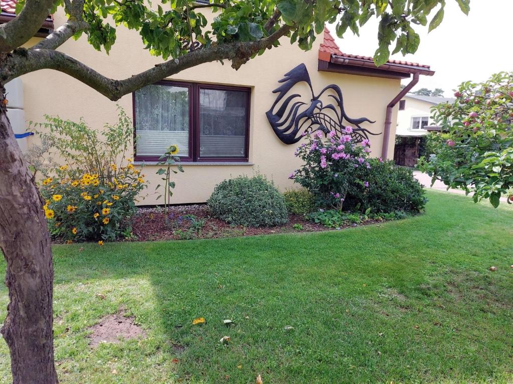 Ferienhaus Seeadler DH-39518 photo 3