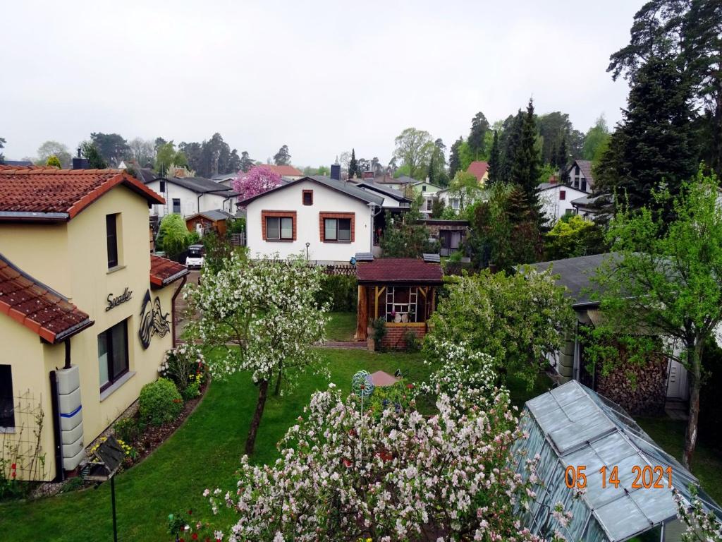 Ferienhaus Seeadler DH-39518 photo 4
