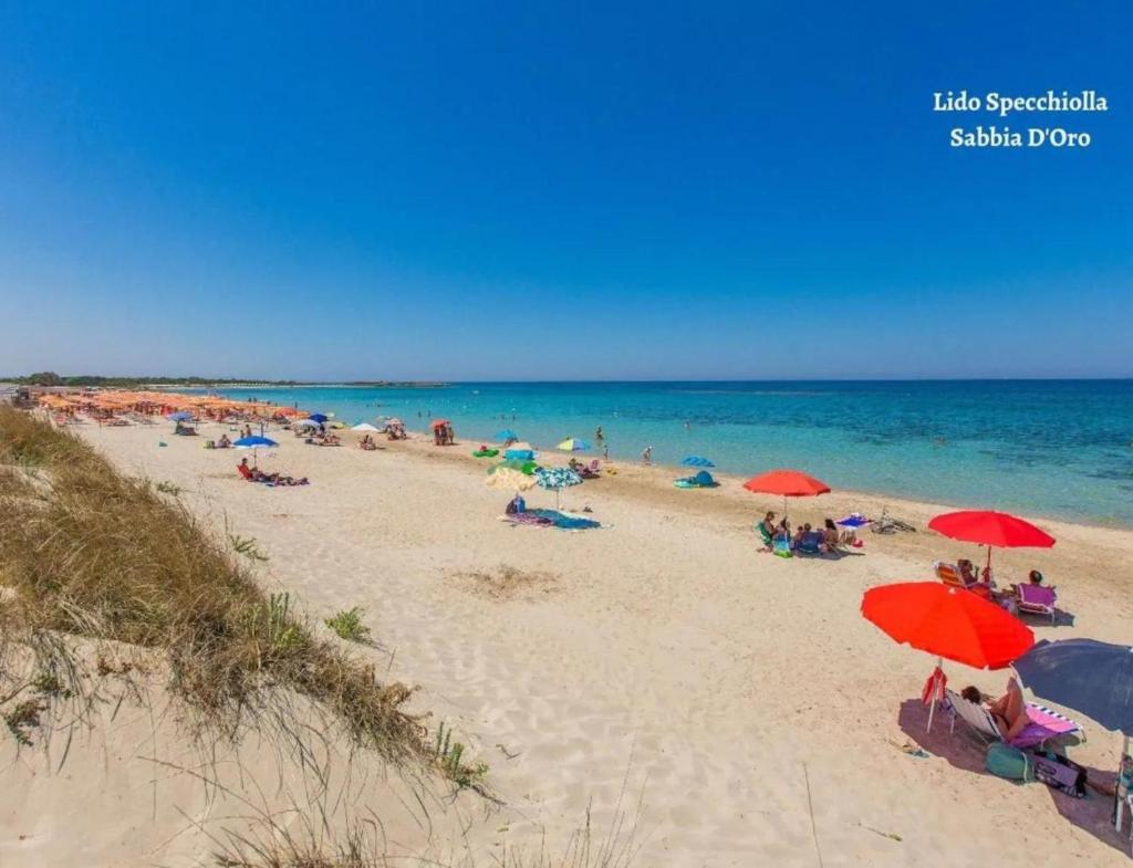 Miglior prezzo 50 metri da mare parcheggio privato photo 2