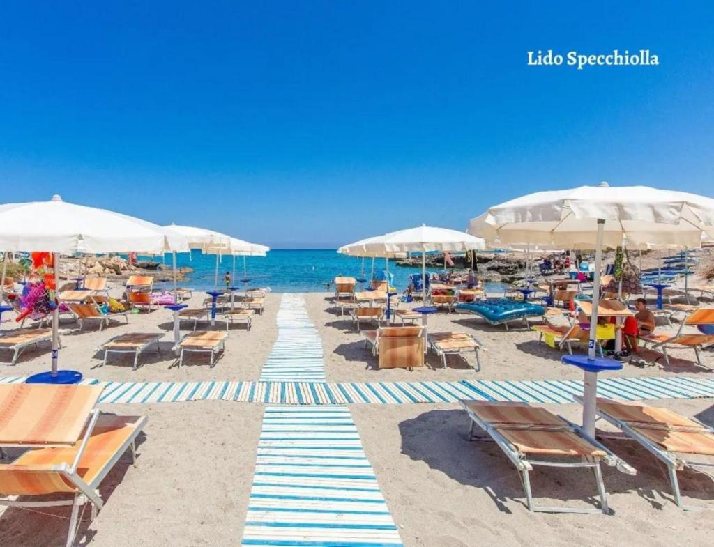 Miglior prezzo 50 metri da mare parcheggio privato photo 3