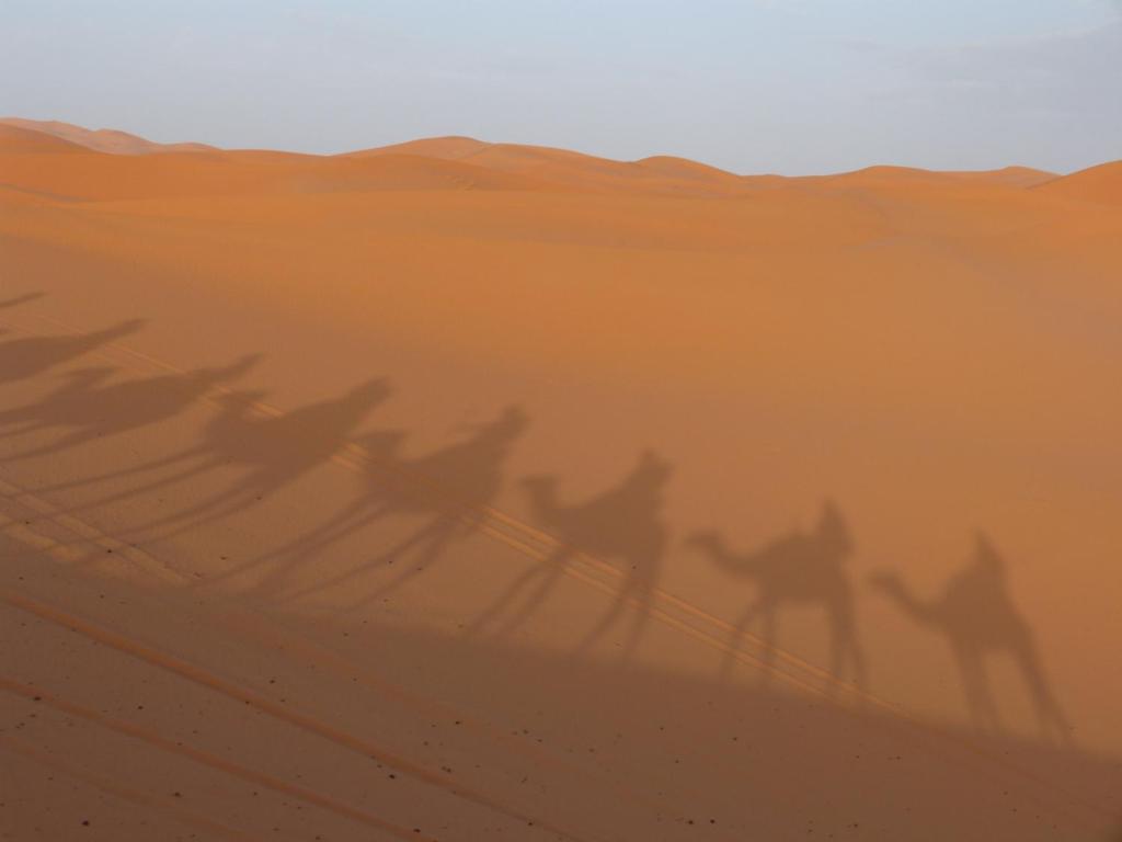 Sahara luxury traditional camp photo 1