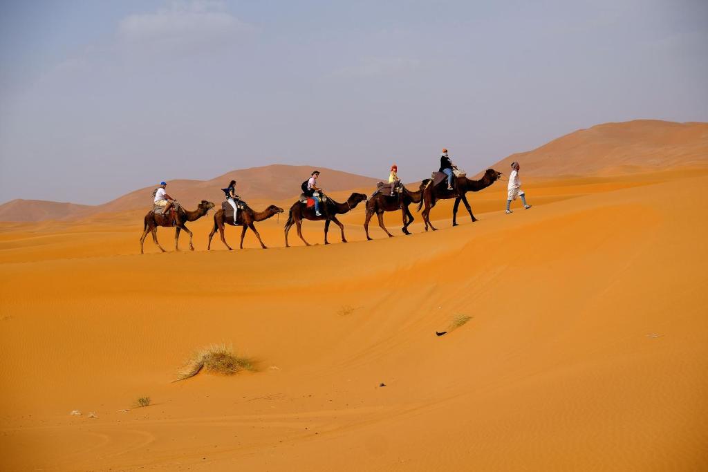 Sahara luxury traditional camp photo 4