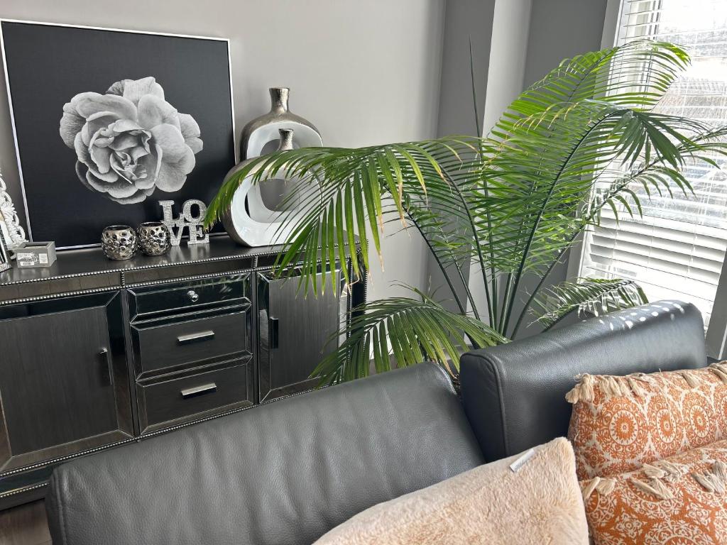 Jahsavvy's Nest photo 1