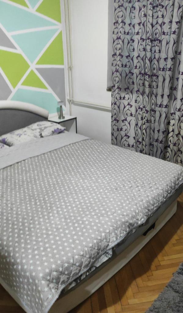 Jednosoban stan centar Ela, photo 4