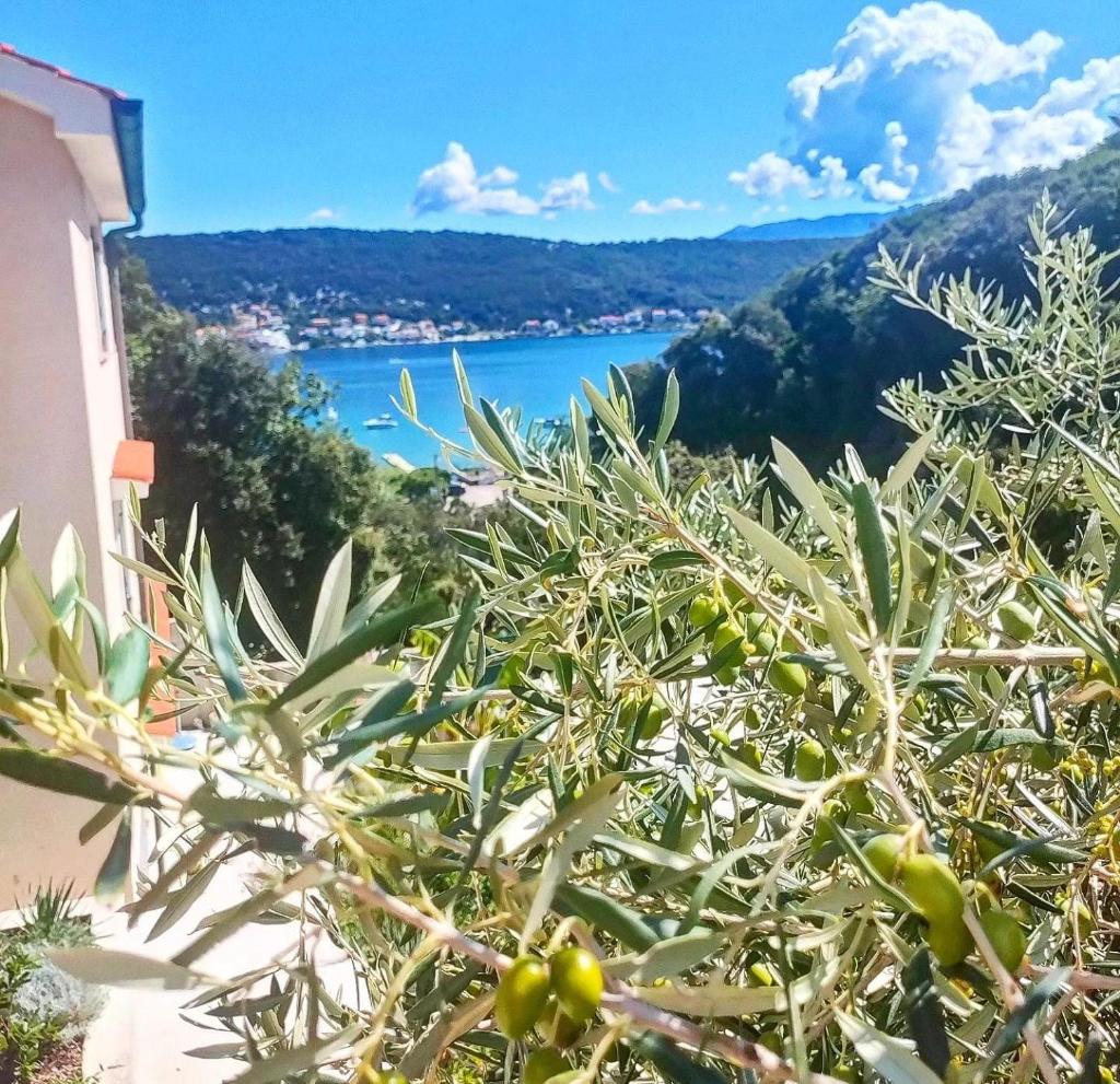 Rab Island Apartments Del Sole photo 2