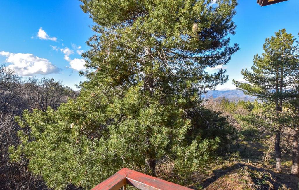 Lovely Home In Linguaglossa With Wifi photo 4